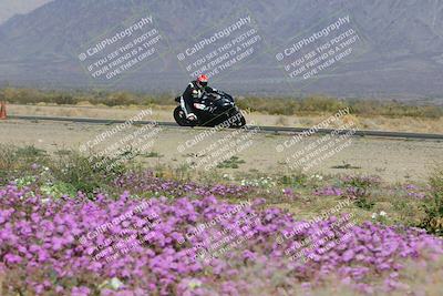 media/Feb-04-2023-SoCal Trackdays (Sat) [[8a776bf2c3]]/Turn 15 Inside Blooming (1050am)/